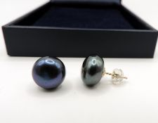 Cultured Pearl Stud Earrings Gold On Sterling Silver New With Gift Pouch