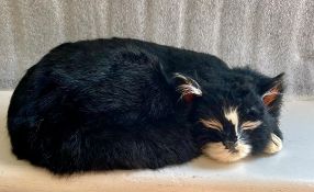 Able Seaman Simon Ship's Cat Hero of HMS Amethyst Life-Like Model Nauticalia