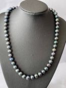 Black Pearl Necklace With Silver Clasp With Valuation