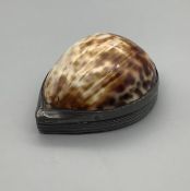 Antique Cowrie Shell and Pewter Snuff Box