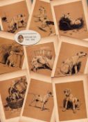Cecil Aldin 120 Years-Old Antique Job Lot Lovable Scamp of A Terrier Illustrations 2.
