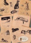 Cecil Aldin Job Lot 17 Vintage 1936 88 Years-Old How To Draw Dogs Illustrations.