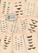 Job Lot Rev Morris British Moths 1896 Antique Hand-Coloured Lithographs -3.