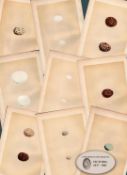 Job Lot 9 Antique 1875 149 Years-Old Engravings Rev Morris Nests & Eggs Set-7.