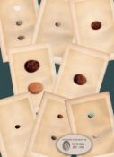 Job Lot 9 Antique 1875 149 Years-Old Engravings Rev Morris Nests & Eggs Set-6.
