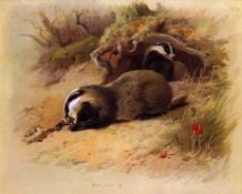 Antique Archibald Thorburn First Edition Scarce Lithograph The Badger- 18.