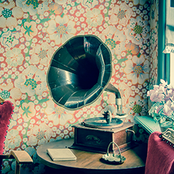Vintage Collectables & Retail Surplus Stock | Vinyl Records, Guitars, Jewellery, Watches, Vintage Photography Equipment, Artwork & More