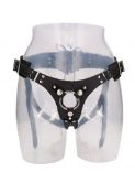 Leather Harness medium to XXL