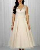 Champagne Dress Richard Designs Large