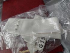 Wedding Dress Belt