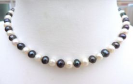 'New' Cultured Pearl Necklace Silver Clasp