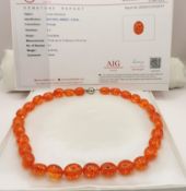 Baltic Amber Necklace AAA Grade - Silver Clasp New With Gift Box