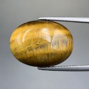 TRT-544, Natural Yellow Tiger Eye Cabochon