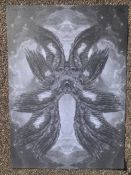 Dan Hillier – Edition 250 Signed & Numbered