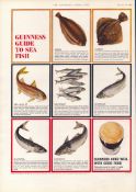 Original 58-Year-Old 1966 Guinness Guide To Sea Fish Print GE 3981 #-34.