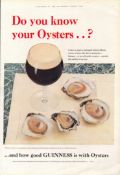 Original 65-Year-Old 1959 Guinness Print Knowing Your Oysters– GE 3192 #-7.