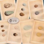 Job Lot 8 Antique 149 Years-Old 1875 Engravings Rev Morris Bird Eggs Set-A.