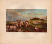 Wild Cattle Chartley Herd Rare Limited-Edition Antique JG Millais Print-25.