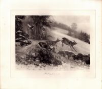 Deer Breaking For Cover Rare Limited-Edition Antique JG Millais Print-20.