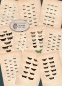 Job Lot Rev Morris British Moths 1896 Antique Hand-Coloured Lithographs -9.