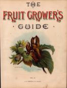 Kentish Cob-Nuts Frontpiece To Antique Fruit Growers Guide 1894-1894 -23.
