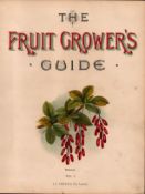 Berberries Frontpiece To Antique Fruit Growers Guide 1894-1894 -22.