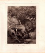 The Fox & Badger Rare Limited-Edition Antique JG Millais Print-72.