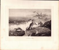 An Otter At Play Rare Limited-Edition Antique JG Millais Print-70.
