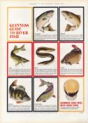 Original 58-Year-Old 1966 Guinness Guide To River Fish Print GE 3981 #-35.