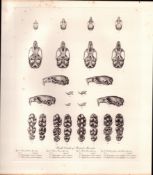 Skulls & Teeth The Mouse Family Rare Limited-Edition Antique Print-97.