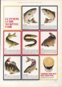 Original 58-Year-Old 1966 Guinness Guide To River Fish Print GE 3980 #-33.