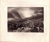 The Stag Sanctuary Rare Limited-Edition Antique JG Millais Print-22.