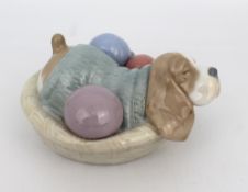 Nao Dog Under Blanket