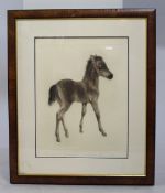 Drypoint By Kurt Meyer-Eberhardt (German, 1895-1977)