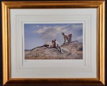 Spencer Hodge Signed Limited Edition