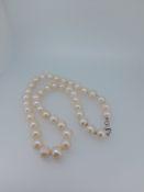 Fresh Water Cultured Pearl Necklace Silver Clasp