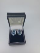 Nicole Barr Silver and Enamelled Stud Earrings Set With Topaz
