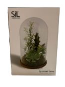 10 x Sil Interiors Succulent Dome L1