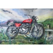 Norton P11 Red Scrambler Extra Large Metal Wall Art