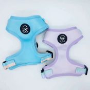 10 x Lis & Kaas Dog Harnesses In Various Sizes (Blue Only) L13c