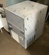 Brand New Polar Ice Machine