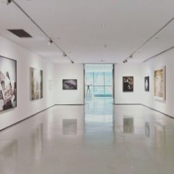 International Gallery Clearance of Collectable Art & Rare Limited Editions