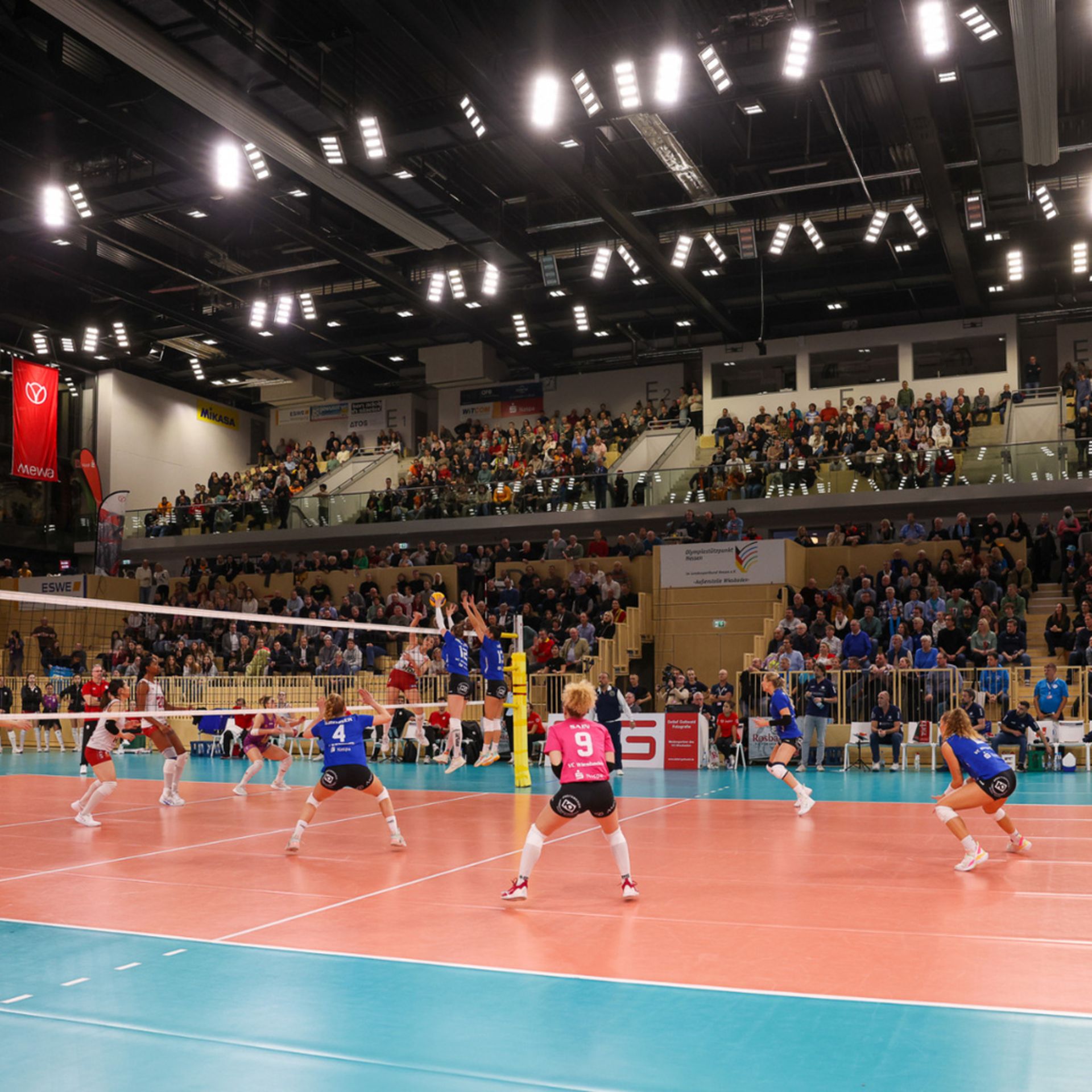 2 VIP-Tageskarten für ein VCW-Heimspiel der Wahl in der Saison 2024/25 - Bild 3 aus 3