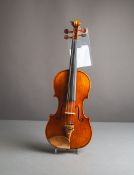 Violine / Geige