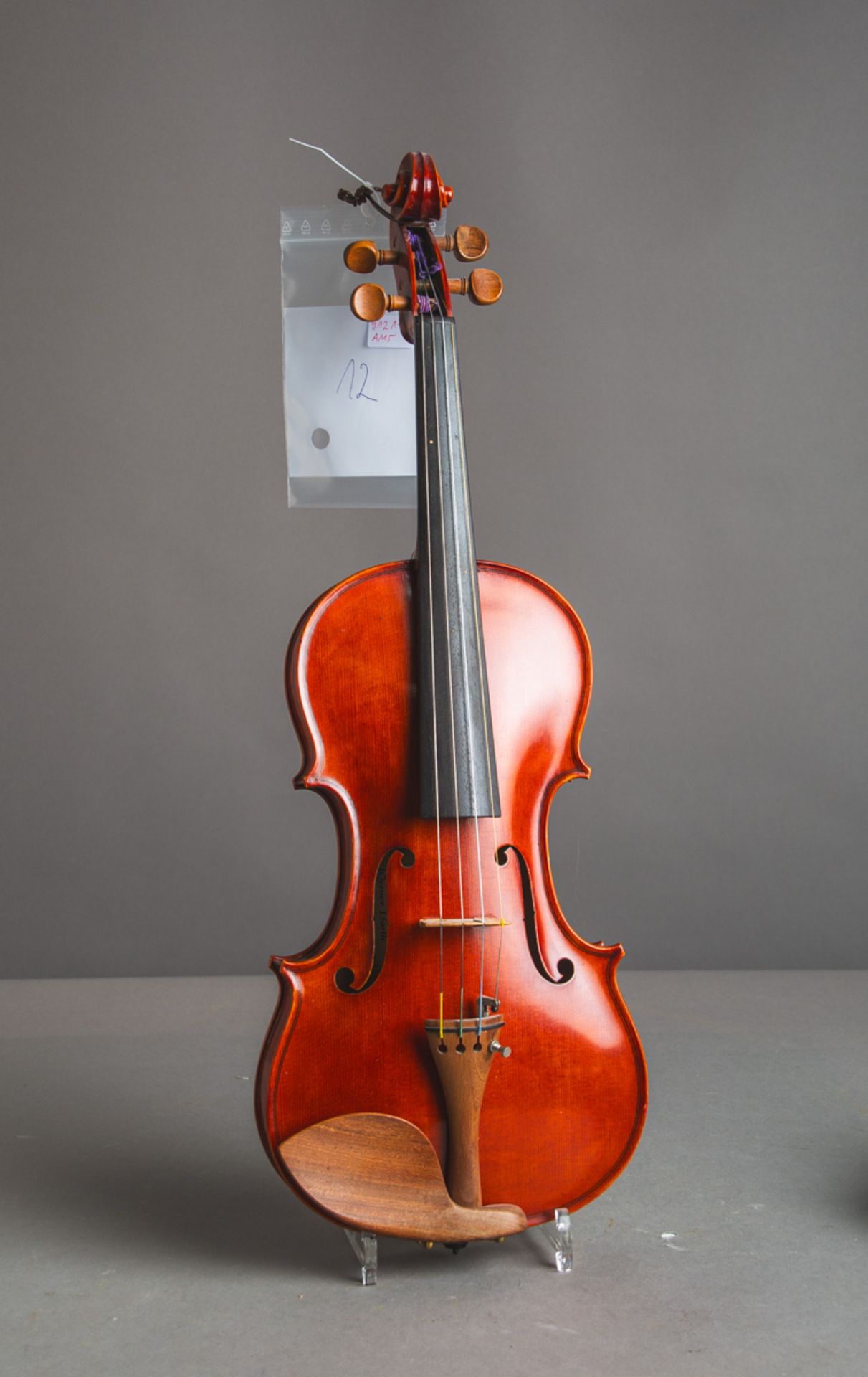 Violine / Geige