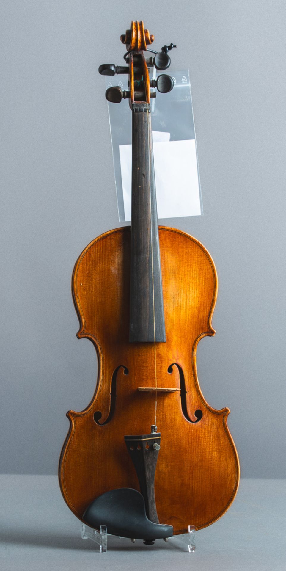 Violine / Geige