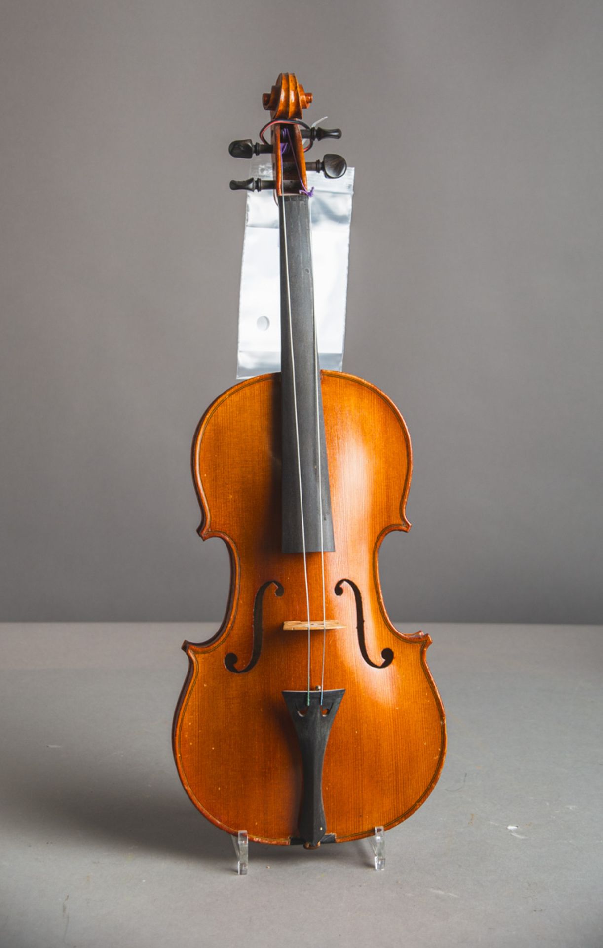 Violine / Geige