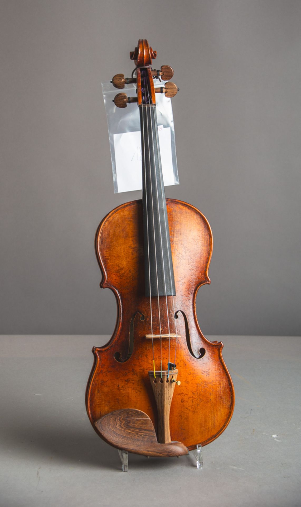 Violine / Geige