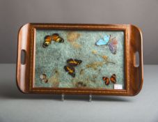Jugendstil-Tablett mit eingelegten Schmetterlingen und Pflanzen (um 1900)