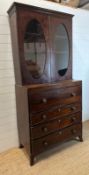 George II style mahogany secretaire bookcase with oval glazed top over drawers folding down to